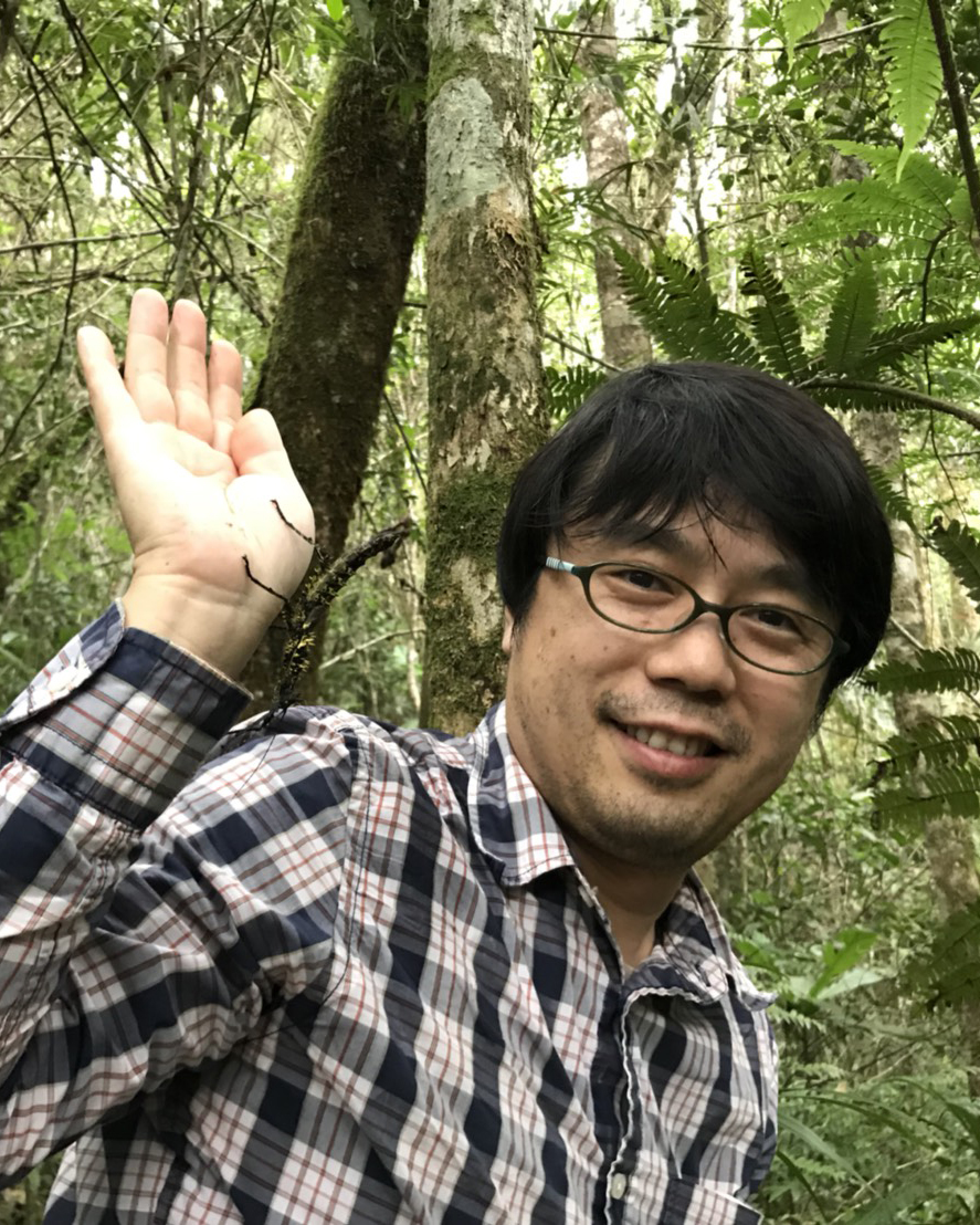 九州大学総合研究博物館 お知らせ